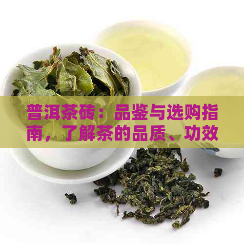 普洱茶砖：品鉴与选购指南，了解茶的品质、功效与泡法