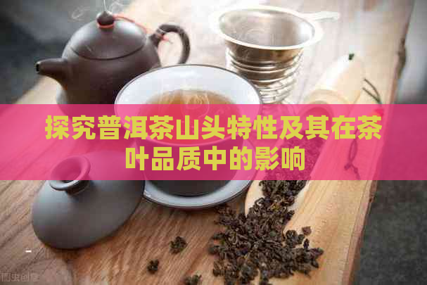 探究普洱茶山头特性及其在茶叶品质中的影响