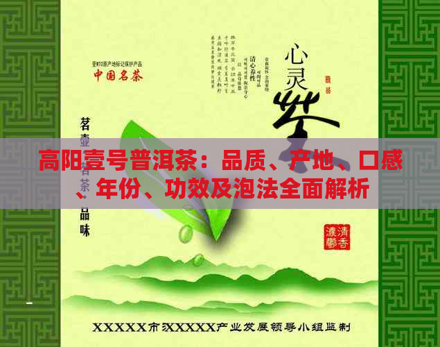 高阳壹号普洱茶：品质、产地、口感、年份、功效及泡法全面解析