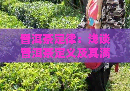 普洱茶定律：浅谈普洱茶定义及其满足的三个条件