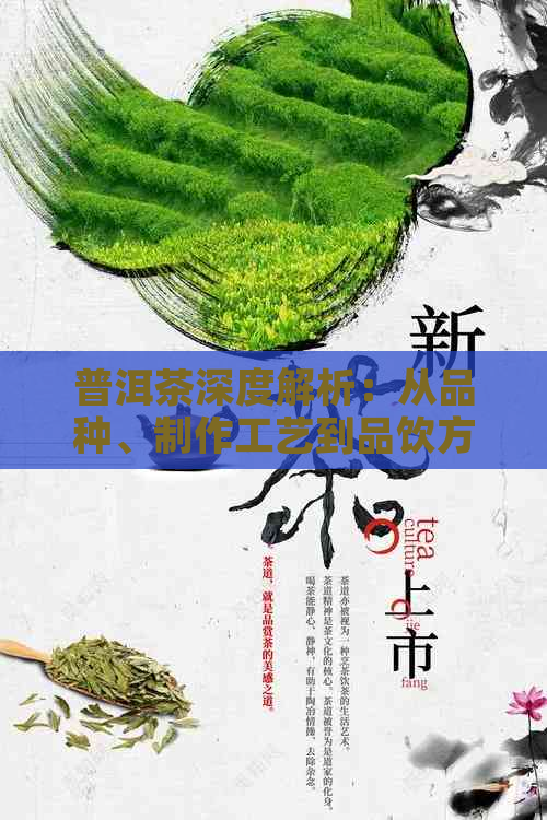 普洱茶深度解析：从品种、制作工艺到品饮方法，全面了解普洱茶的魅力