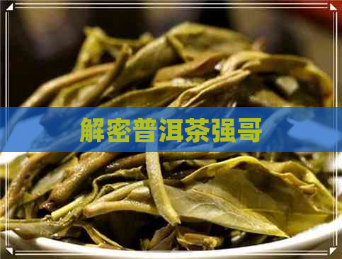 解密普洱茶强哥