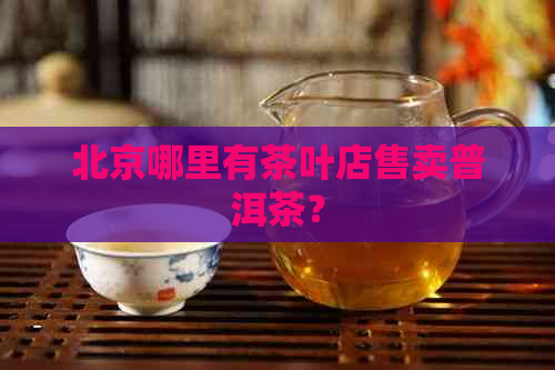 北京哪里有茶叶店售卖普洱茶？