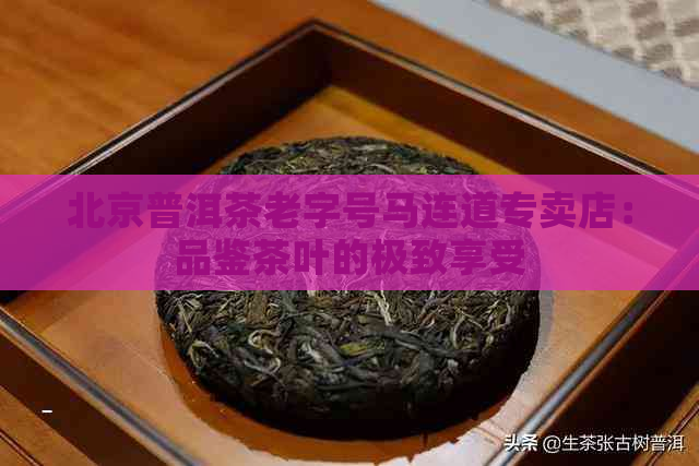 北京普洱茶老字号马连道专卖店：品鉴茶叶的极致享受