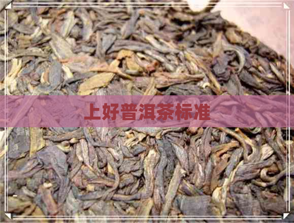 上好普洱茶标准