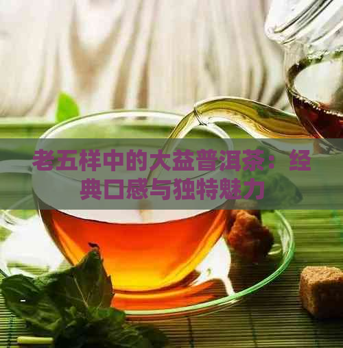 老五样中的大益普洱茶：经典口感与独特魅力