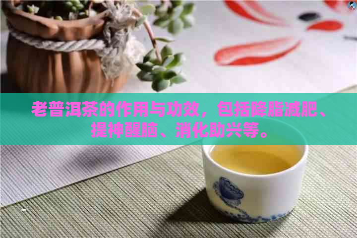 老普洱茶的作用与功效，包括降脂减肥、提神醒脑、消化助兴等。