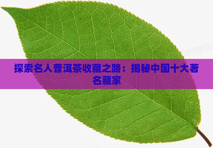 探索名人普洱茶收藏之路：揭秘中国十大著名藏家