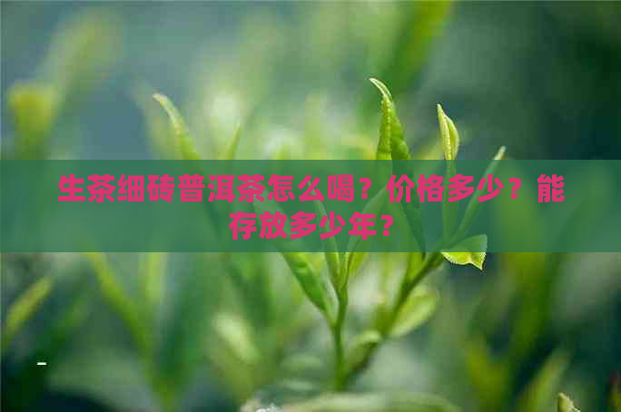 生茶细砖普洱茶怎么喝？价格多少？能存放多少年？