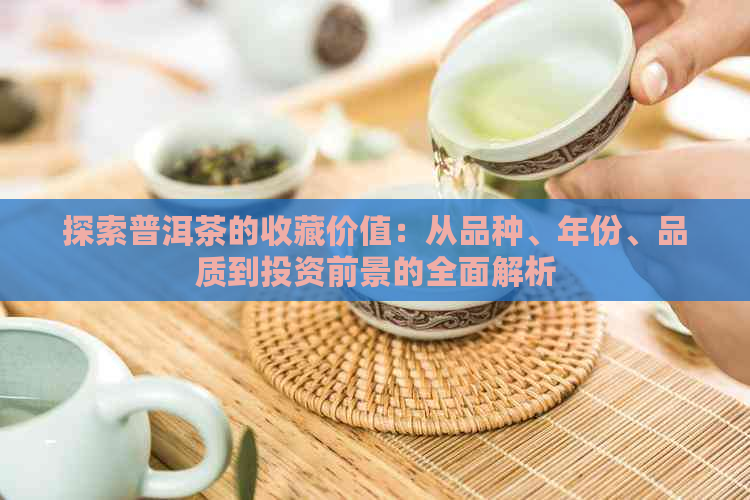 探索普洱茶的收藏价值：从品种、年份、品质到投资前景的全面解析