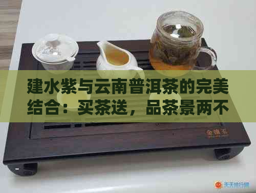 建水紫与云南普洱茶的完美结合：买茶送，品茶景两不误