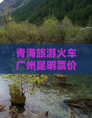 青海旅游火车广州昆明票价时间详情