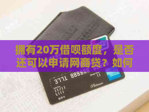 拥有20万借呗额度，是否还可以申请网商贷？如何操作及影响是什么？