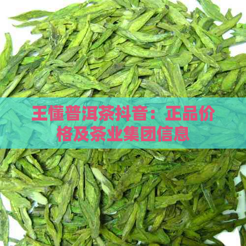 王懂普洱茶抖音：正品价格及茶业集团信息