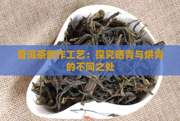 普洱茶制作工艺：探究晒青与烘青的不同之处