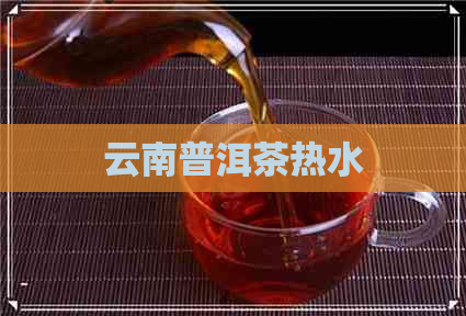 云南普洱茶热水