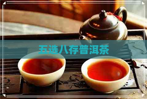 五选八存普洱茶