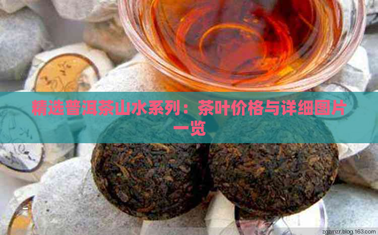 精选普洱茶山水系列：茶叶价格与详细图片一览