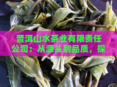 普洱山水茶业有限责任公司：从源头到品质，探索云南普洱茶叶的魅力与价值