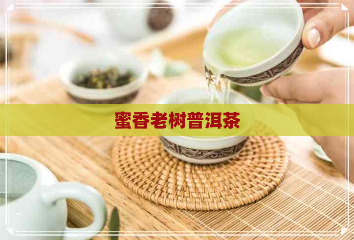 蜜香老树普洱茶