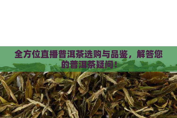 全方位直播普洱茶选购与品鉴，解答您的普洱茶疑问！