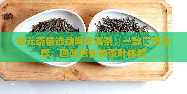 福元茶精选勐海普洱茶：一款口感醇厚、回味悠长的茶叶体验