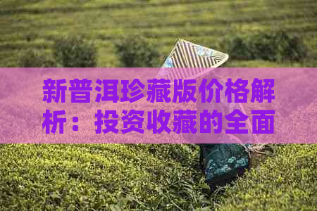 新普洱珍藏版价格解析：投资收藏的全面指南