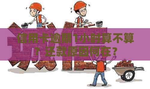 信用卡逾期1小时算不算？还款原因何在？