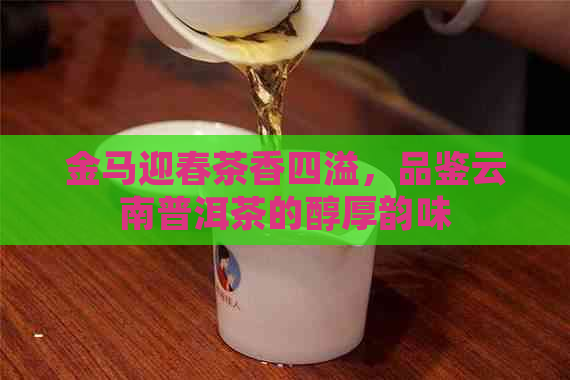 金马迎春茶香四溢，品鉴云南普洱茶的醇厚韵味