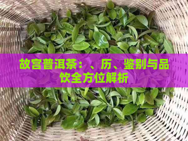 故宫普洱茶：、历、鉴别与品饮全方位解析