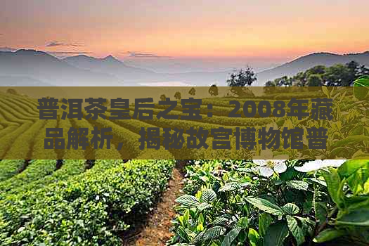 普洱茶皇后之宝：2008年藏品解析，揭秘故宫博物馆普洱茶