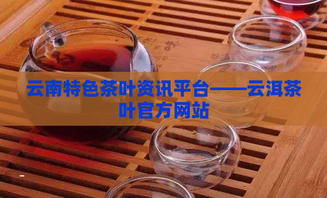 云南特色茶叶资讯平台——云洱茶叶官方网站