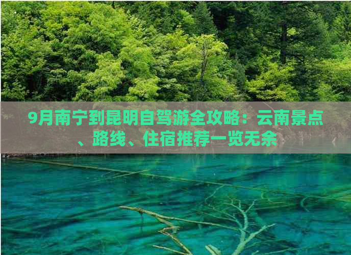 9月南宁到昆明自驾游全攻略：云南景点、路线、住宿推荐一览无余