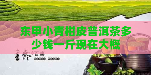 东甲小青柑皮普洱茶多少钱一斤现在大概