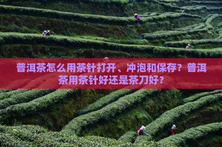 普洱茶怎么用茶针打开、冲泡和保存？普洱茶用茶针好还是茶刀好？