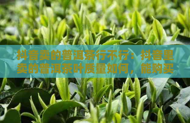 抖音卖的普洱茶行不行：抖音里卖的普洱茶叶质量如何，能购买吗？