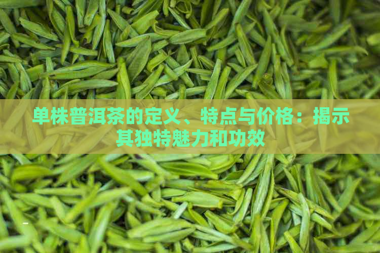 单株普洱茶的定义、特点与价格：揭示其独特魅力和功效