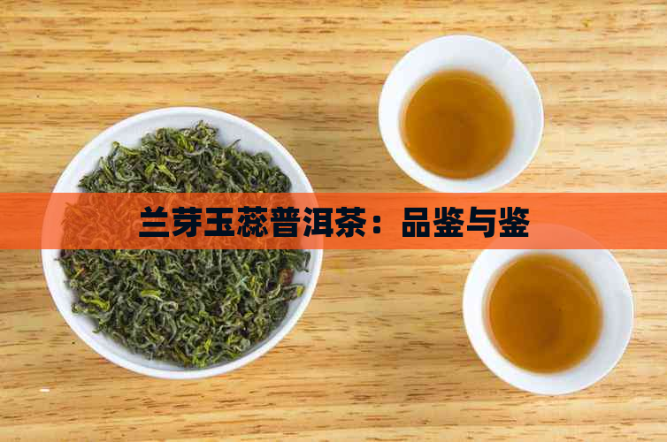 兰芽玉蕊普洱茶：品鉴与鉴