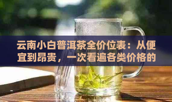 云南小白普洱茶全价位表：从便宜到昂贵，一次看遍各类价格的优质茶叶