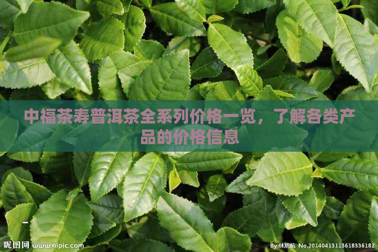 中福茶寿普洱茶全系列价格一览，了解各类产品的价格信息