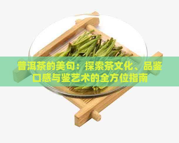 普洱茶的美句：探索茶文化、品鉴口感与鉴艺术的全方位指南