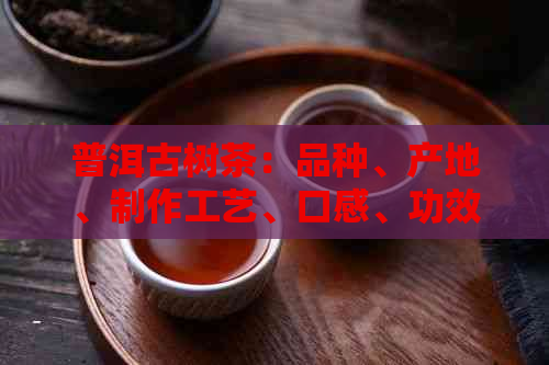 普洱古树茶：品种、产地、制作工艺、口感、功效及购买指南的全面解析