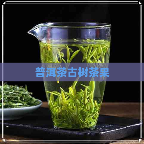 普洱茶古树茶果