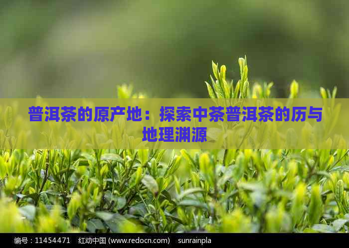 普洱茶的原产地：探索中茶普洱茶的历与地理渊源