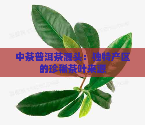 中茶普洱茶源头：独特产区的珍稀茶叶来源