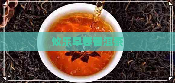 攸乐早春普洱茶