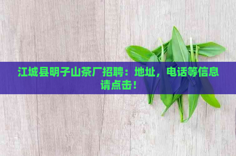 江城县明子山茶厂招聘：地址，电话等信息请点击！