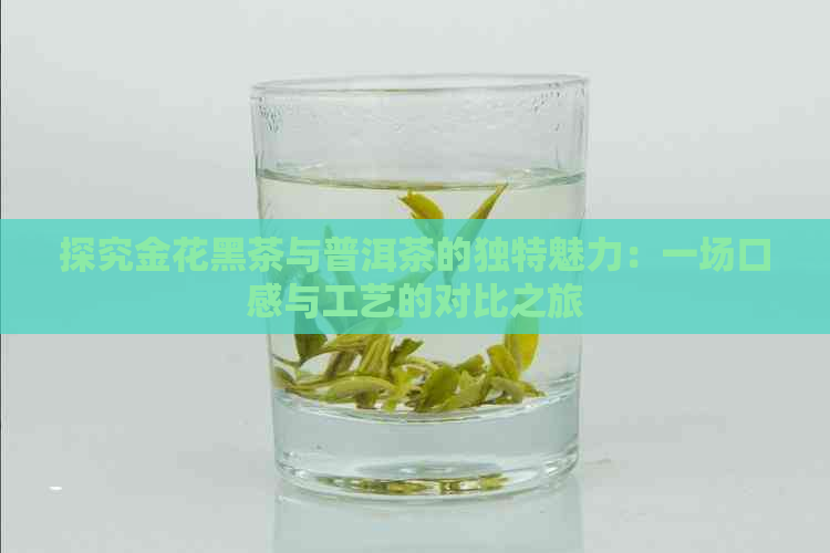 探究金花黑茶与普洱茶的独特魅力：一场口感与工艺的对比之旅