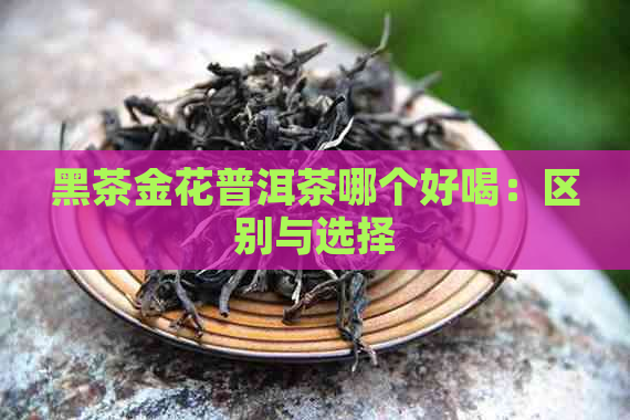 黑茶金花普洱茶哪个好喝：区别与选择