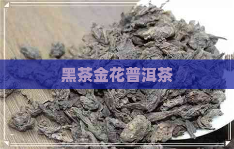 黑茶金花普洱茶